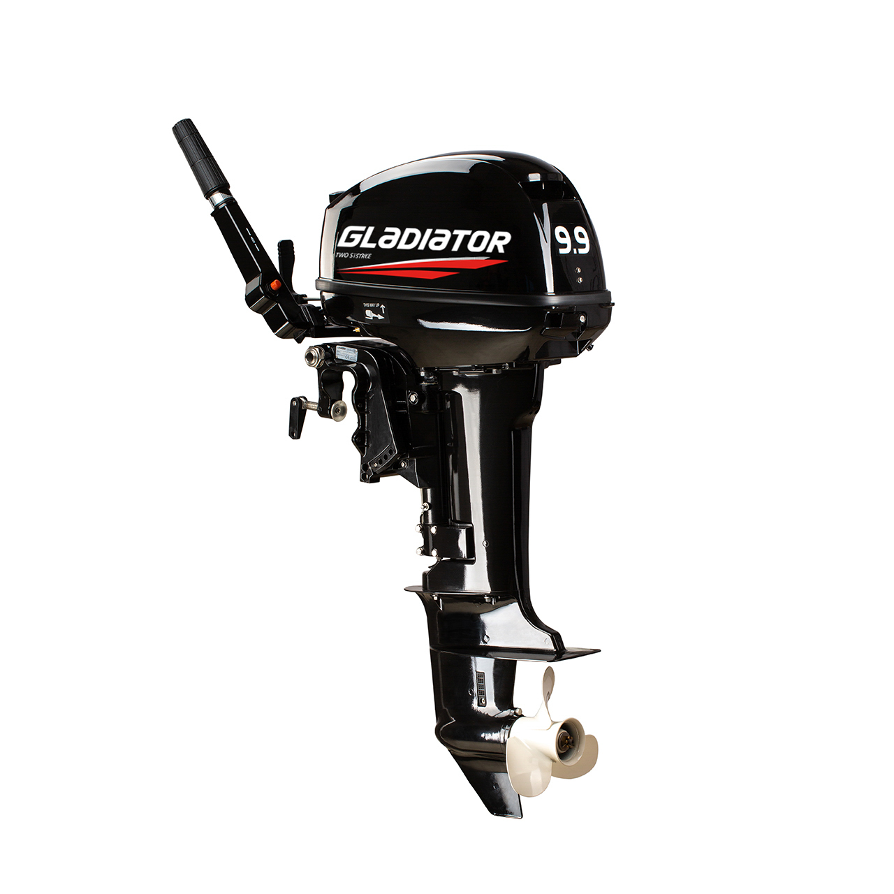 ЛОДОЧНЫЙ МОТОР GLADIATOR G9.9FHS в Керчи