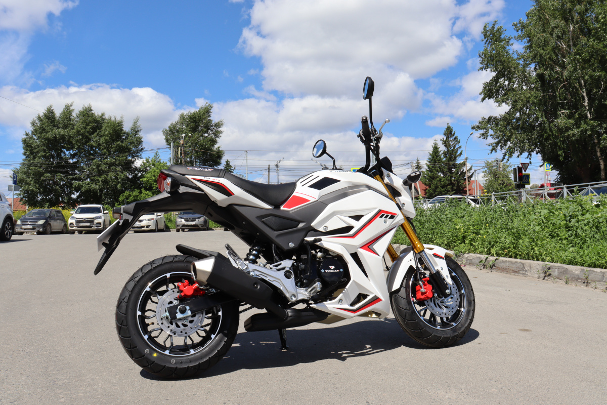 Мотоцикл PROMAX STRYKER 200(49) 2.0 в Керчи