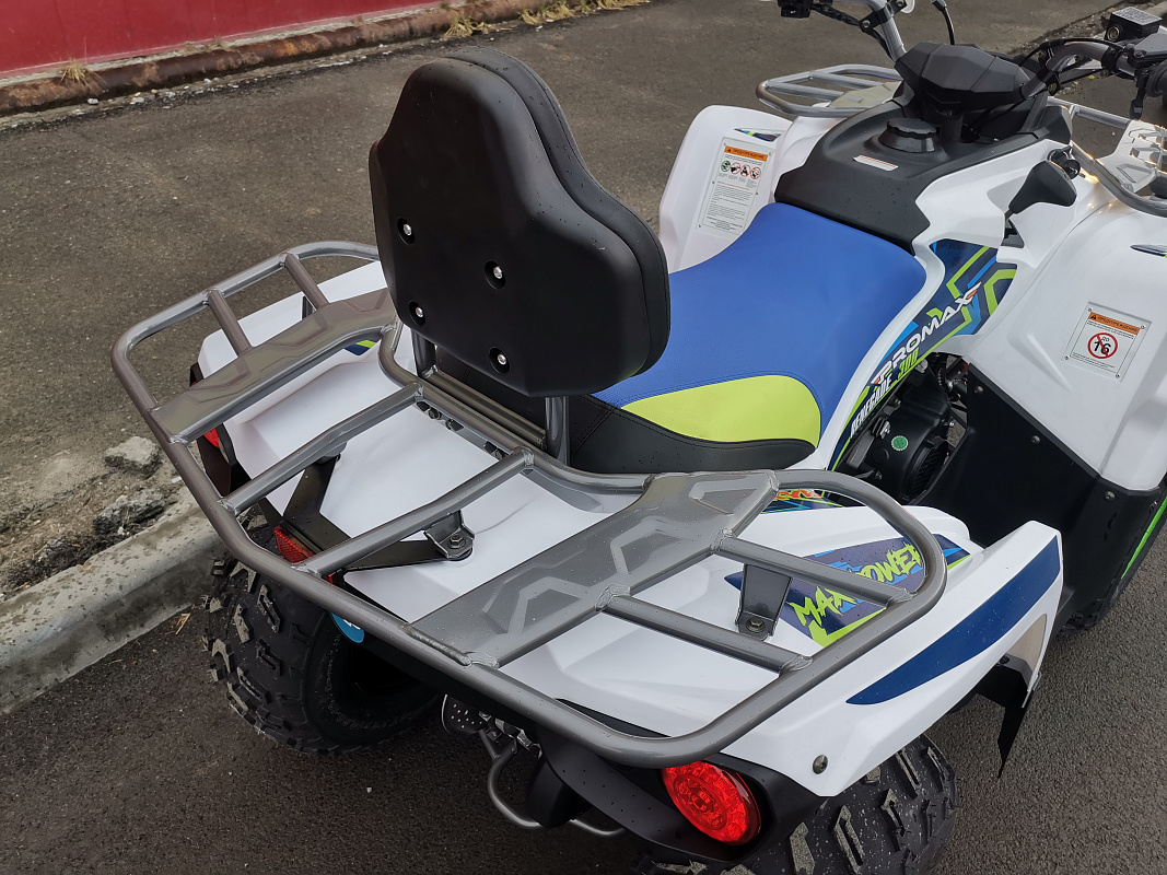 Квадроцикл PROMAX RENEGADE 280 LUX (2025) в Керчи