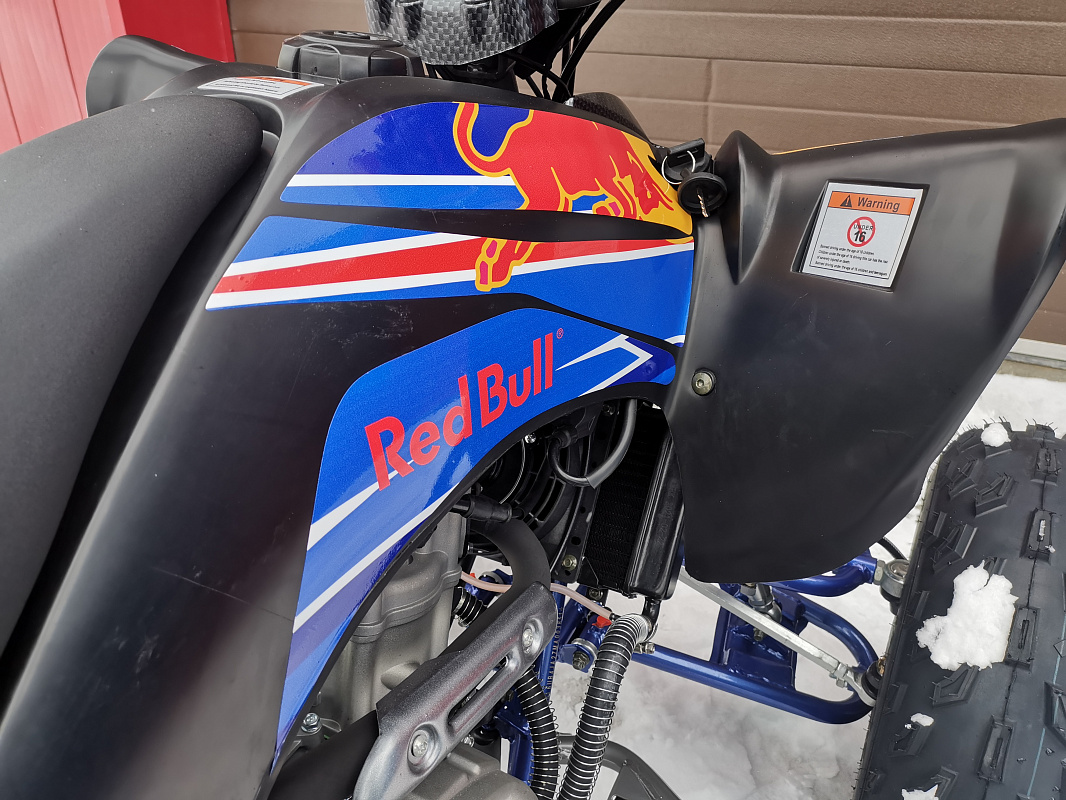 Квадроцикл PROMAX RAPTOR 300 NEW RedBull в Керчи