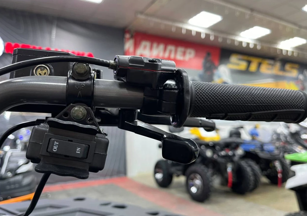 Квадроцикл PROMAX RENEGADE 300 LONG WINCH PRO (2025) в Керчи