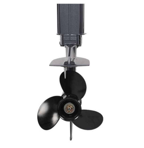 Лодочный мотор ALLFA CG Т40FWT S в Керчи