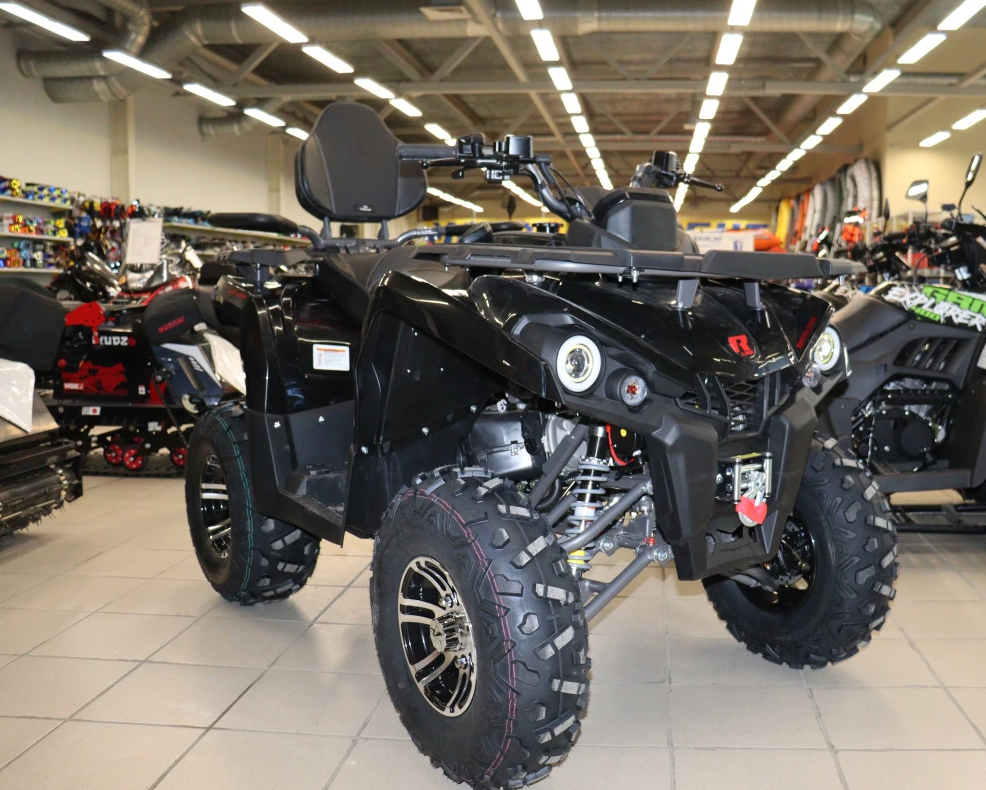 Квадроцикл PROMAX RENEGADE 300 LONG WINCH PRO (2025) в Керчи