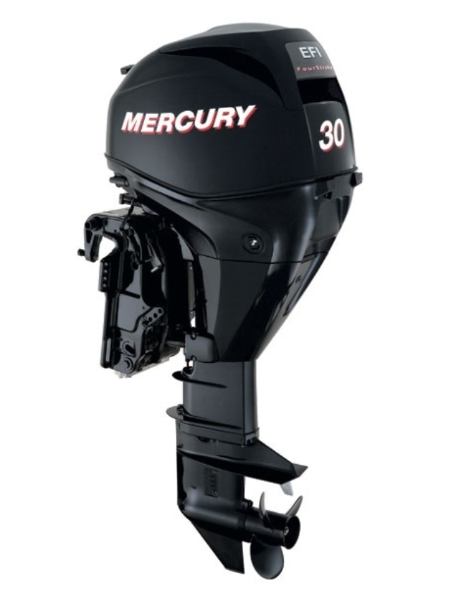 ЛОДОЧНЫЙ МОТОР MERCURY  F 30 ELH GA EFI в Керчи