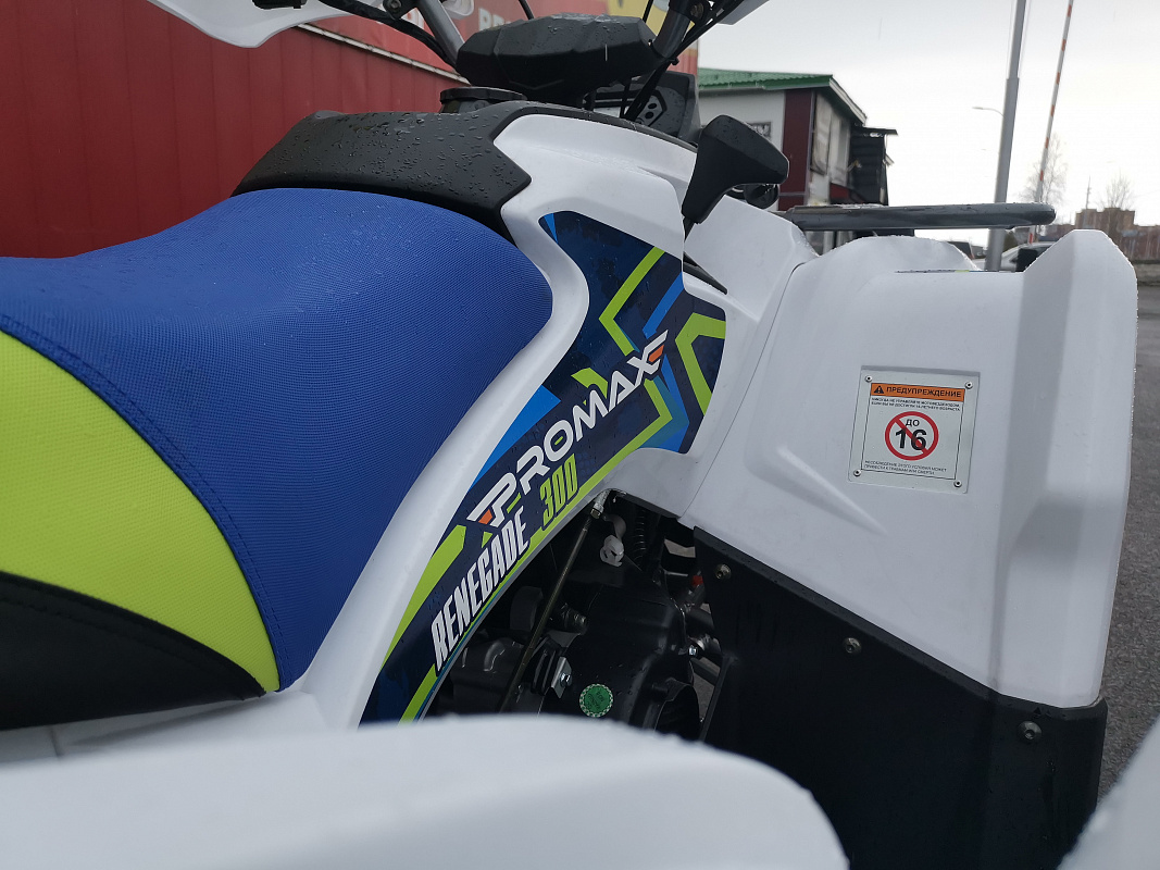 Квадроцикл PROMAX RENEGADE 280 LUX (2025) в Керчи