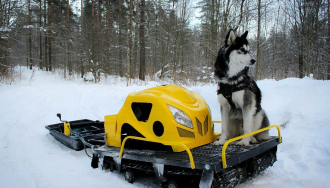 Мотобуксировщик LEBEDEV MOTORS ВОЛКОДАВ POWER V13 в Керчи