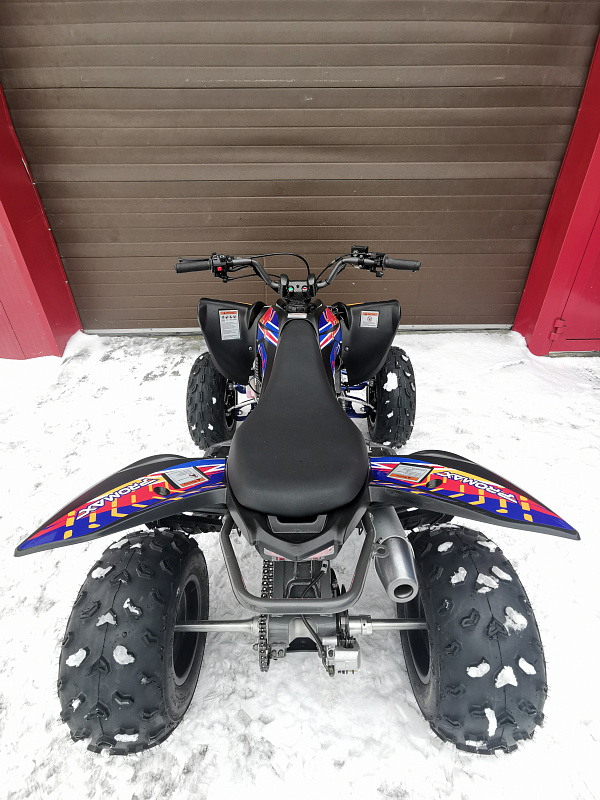 Квадроцикл PROMAX RAPTOR 300 NEW RedBull в Керчи