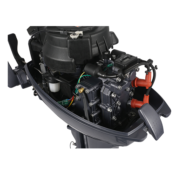 ЛОДОЧНЫЙ МОТОР ALLFA CG Т9,9 Limit в Керчи