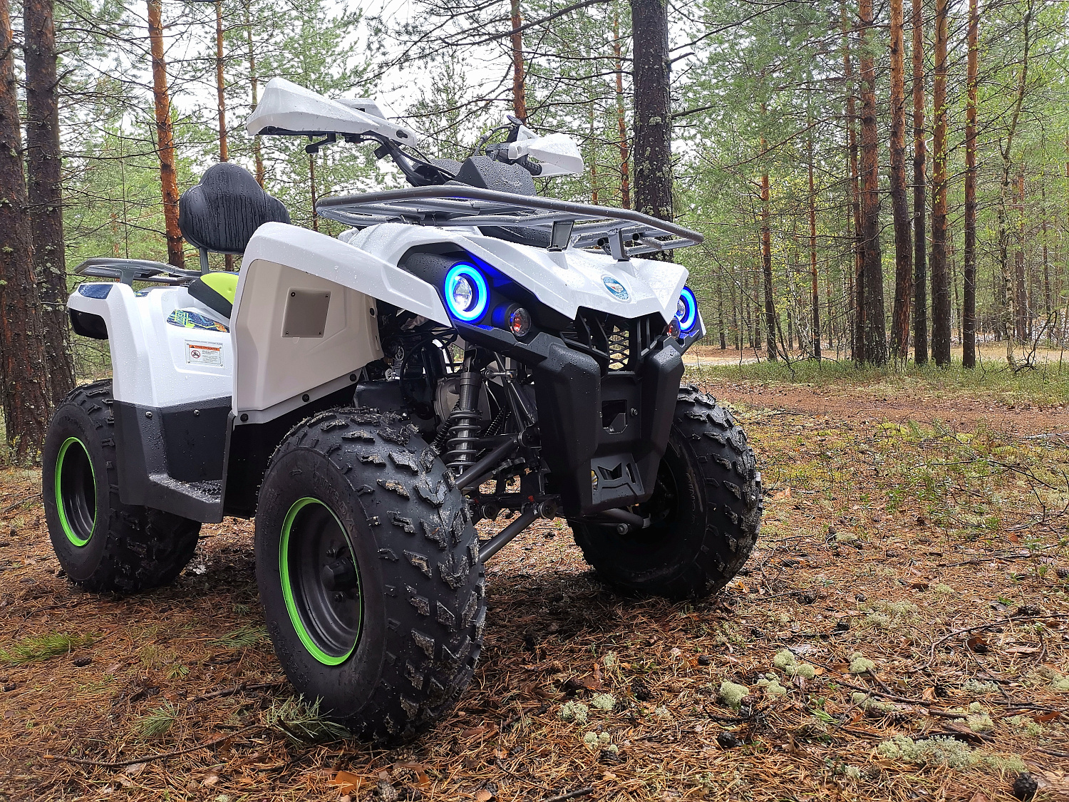 Квадроцикл PROMAX RENEGADE 280 (2025) в Керчи