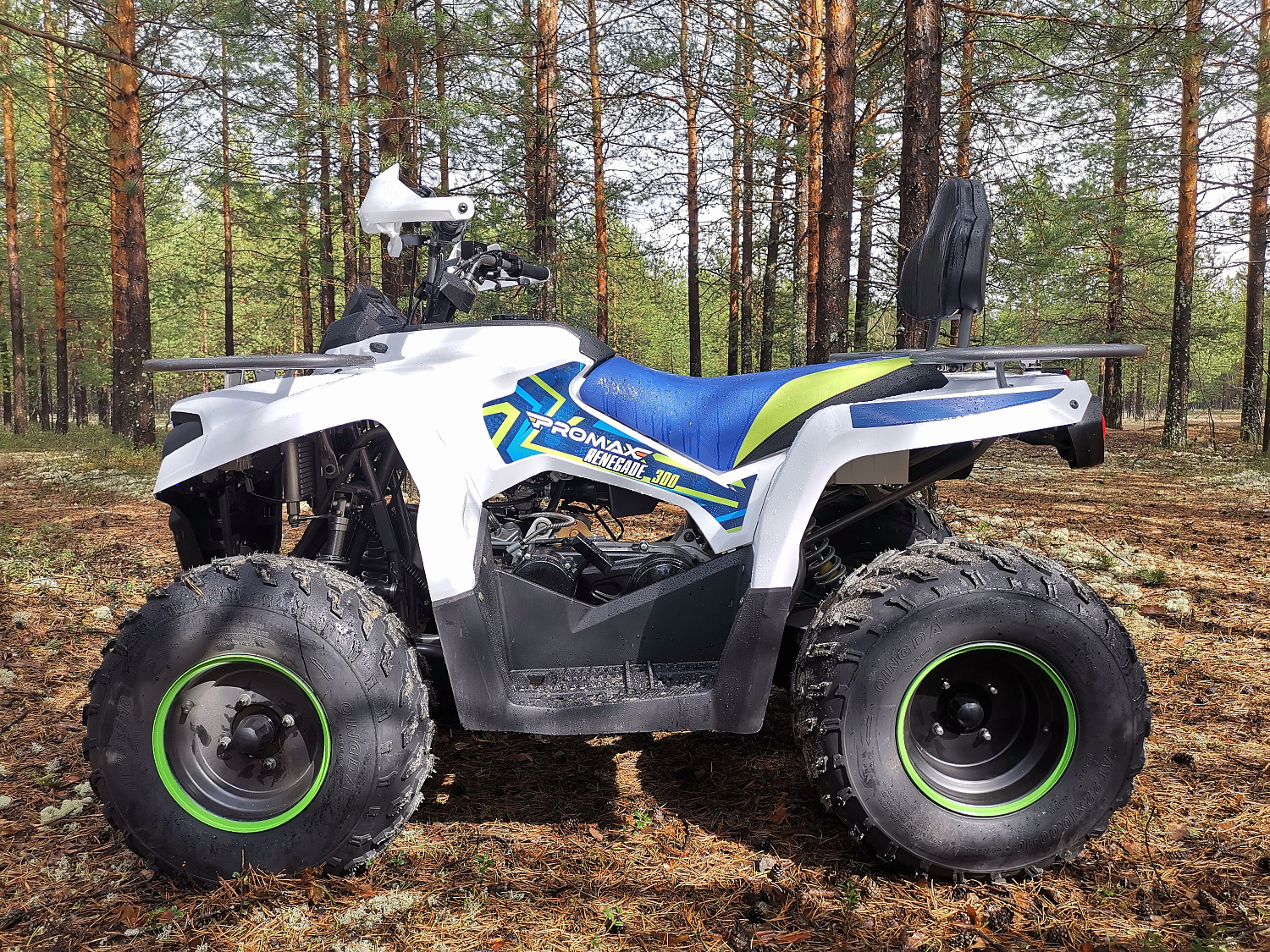 Квадроцикл PROMAX RENEGADE 280 (2025) в Керчи