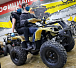 Квадроцикл PROMAX ATV 250 (2025) в Керчи