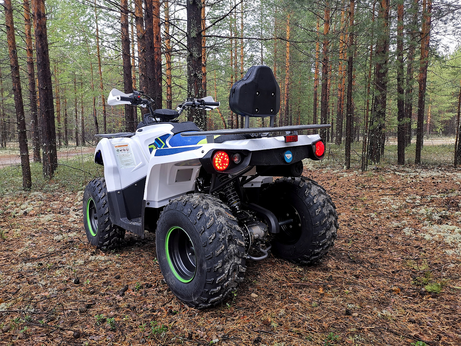 Квадроцикл PROMAX RENEGADE 280 (2025) в Керчи