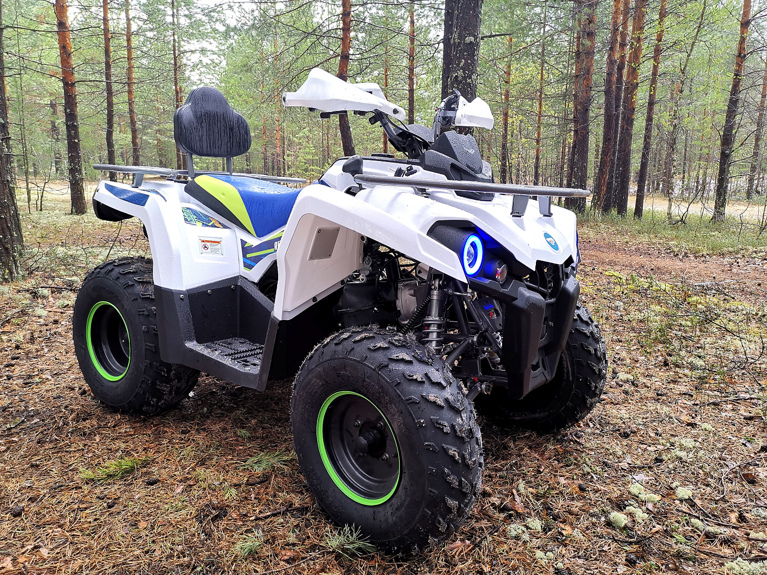Квадроцикл PROMAX RENEGADE 280 (2025) в Керчи