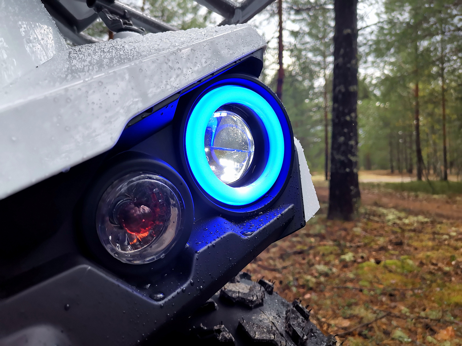 Квадроцикл PROMAX RENEGADE 280 (2025) в Керчи