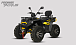 Квадроцикл PROMAX TAURUS 300 MAX-PRO LONG в Керчи